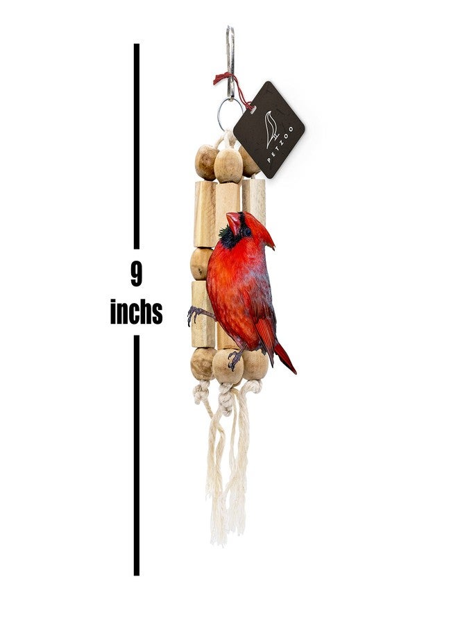 PETZOO Chewable Hanging Toy for Birds, Macaw, African Grey, Parrot, Alexandrine, Budgies, Hamster Cage Accessories, Resting Toy & Wooden Training Aid for Bird & Parrots - Image 3